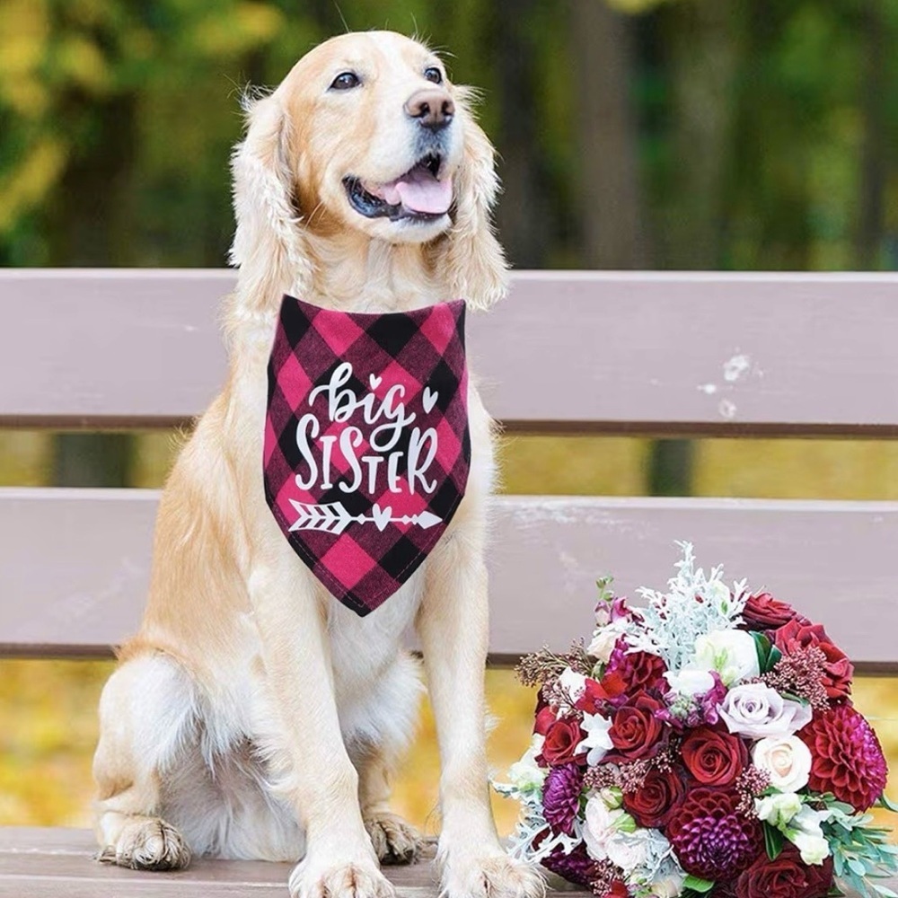 2 for $30 | Pink and Black Plaid 'Big Sister' Dog Bandana